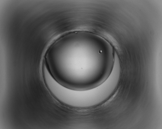 X0000094921180200712061103