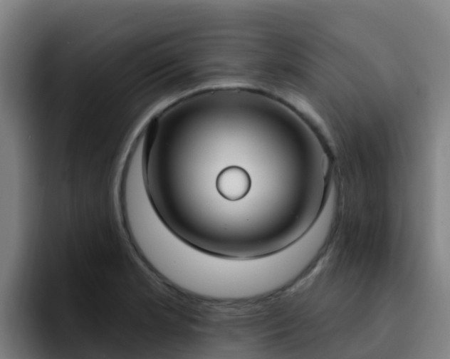 X0000094921181200712061103