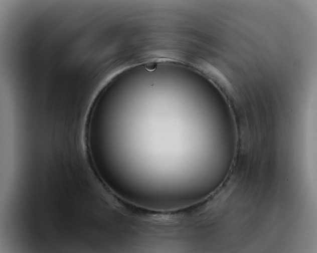 X0000094921182200712061103