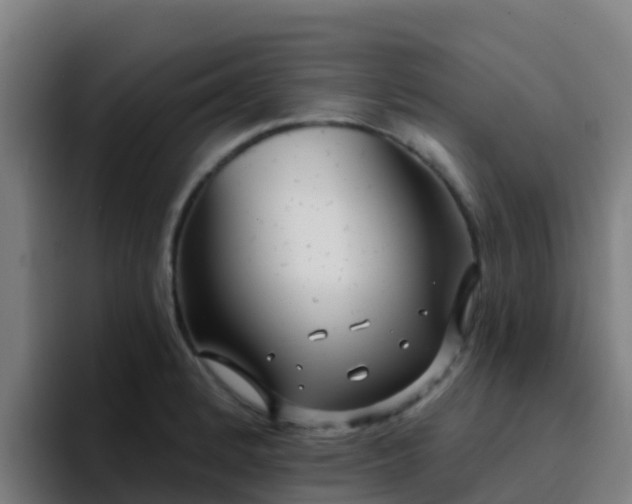 X0000094921184200712061103