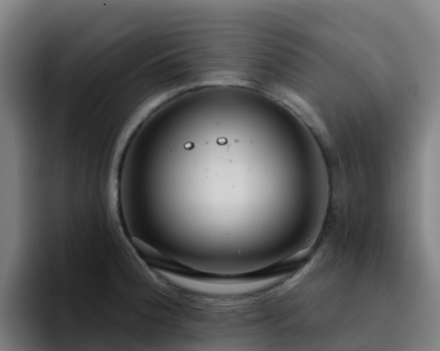 X0000094921188200712061103