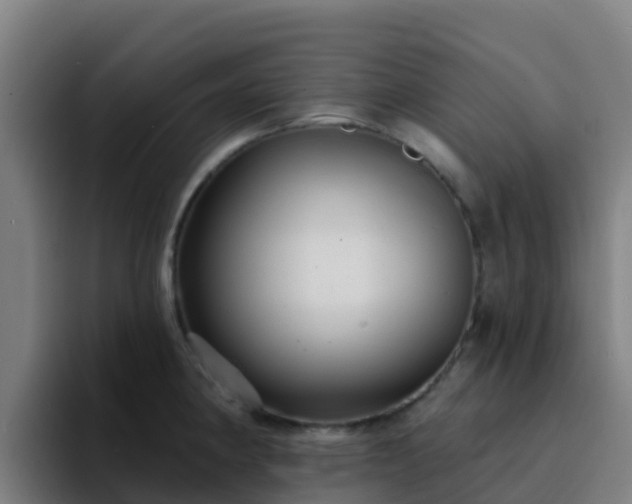 X0000094921190200712061103