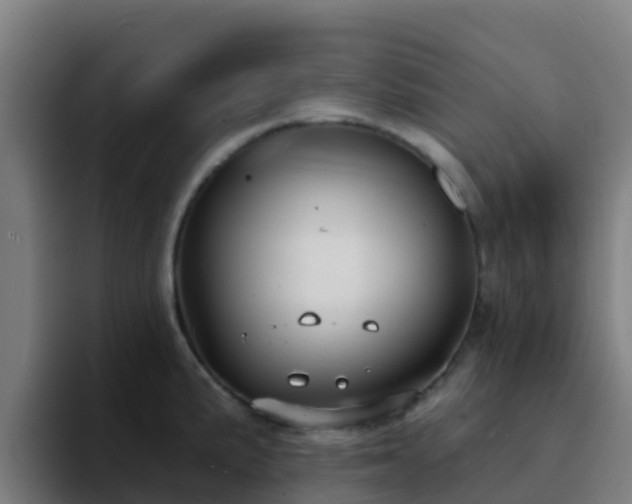 X0000094921191200712061103