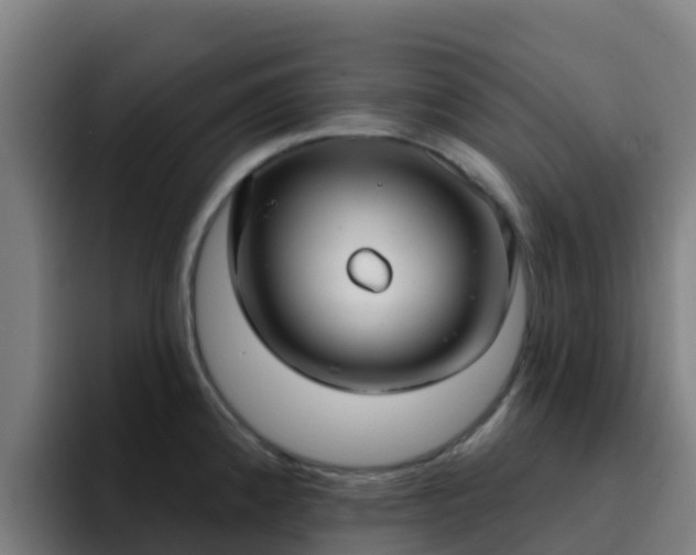 X0000094921192200712061103