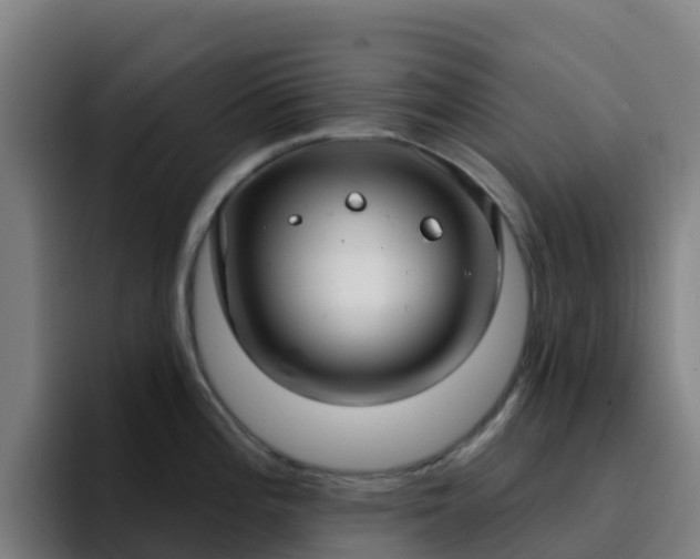 X0000094921196200712061103