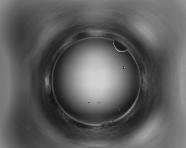 X0000094921198200712061103