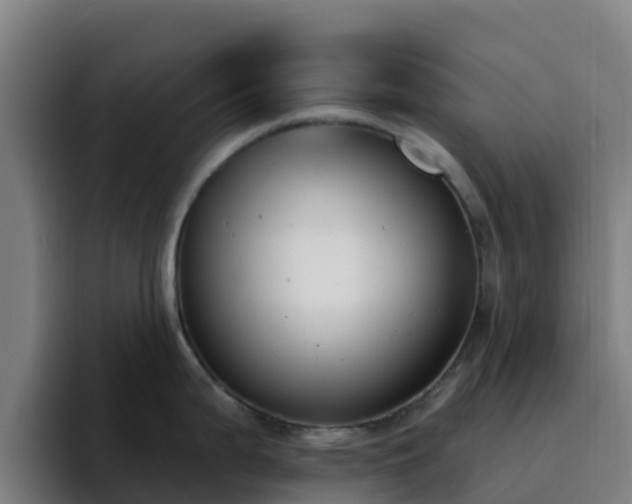 X0000094921199200712061102