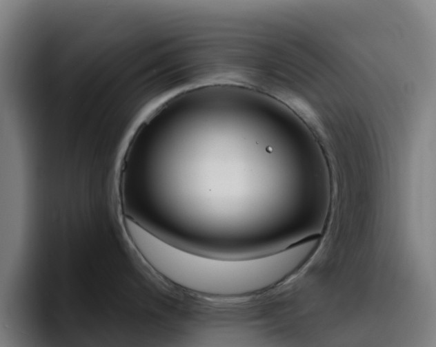 X0000094921200200712061102