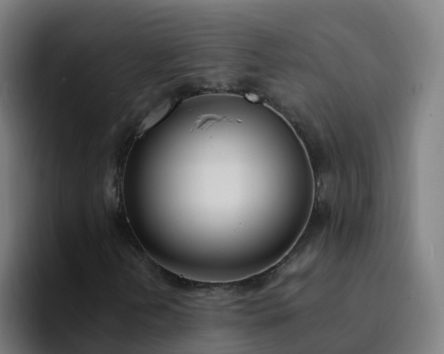 X0000094921202200712061102