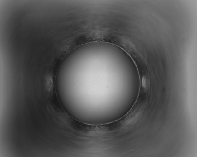 X0000094921203200712061102