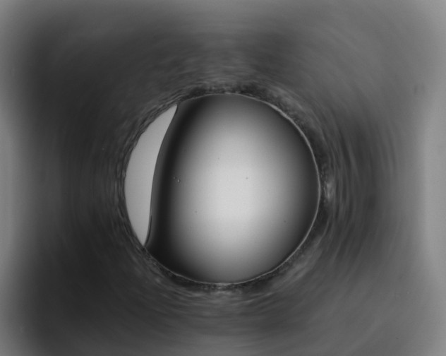 X0000094921204200712061102