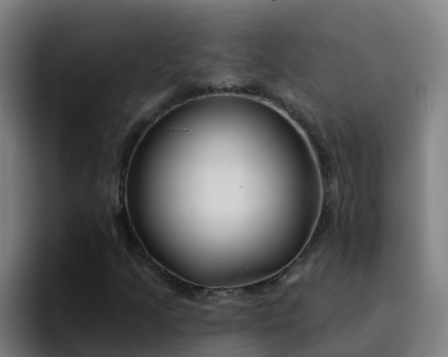 X0000094921205200712061102