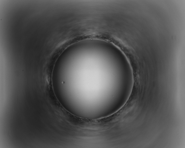 X0000094921206200712061102