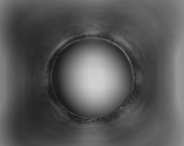 X0000094921208200712061102