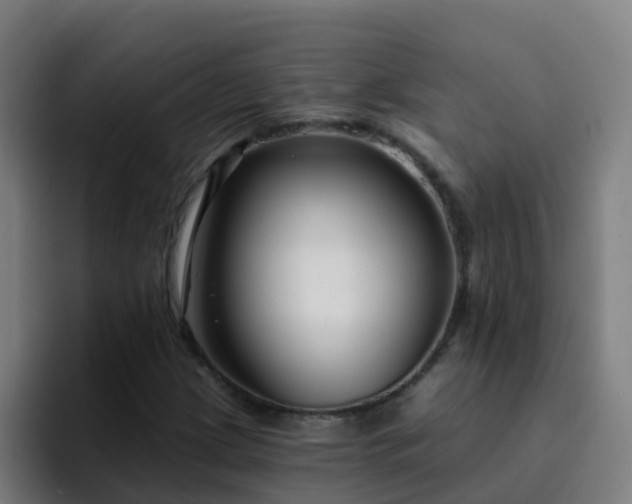 X0000094921209200712061102