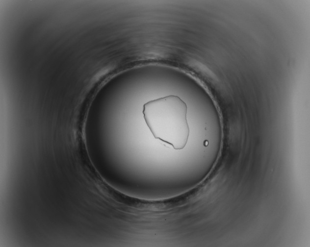 X0000094921210200712061102