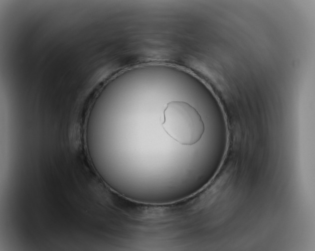 X0000094921211200712061102