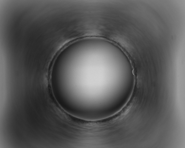 X0000094921212200712061102