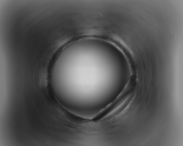 X0000094921213200712061102