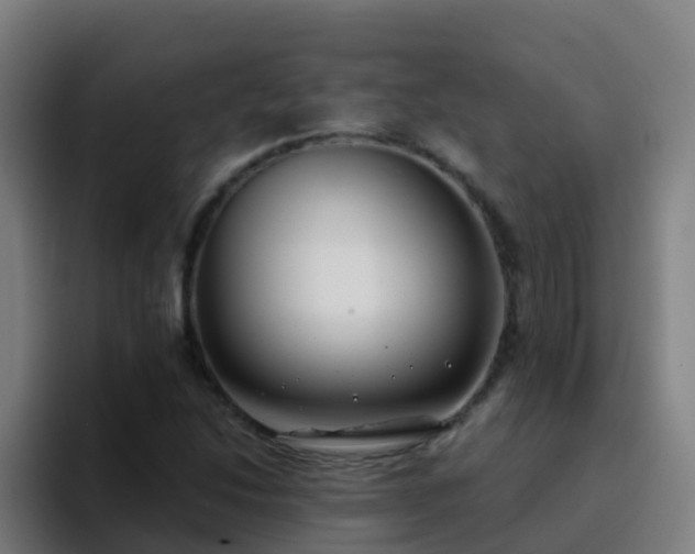 X0000094921214200712061102