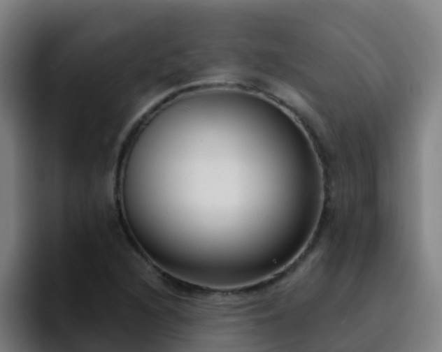 X0000094921216200712061102