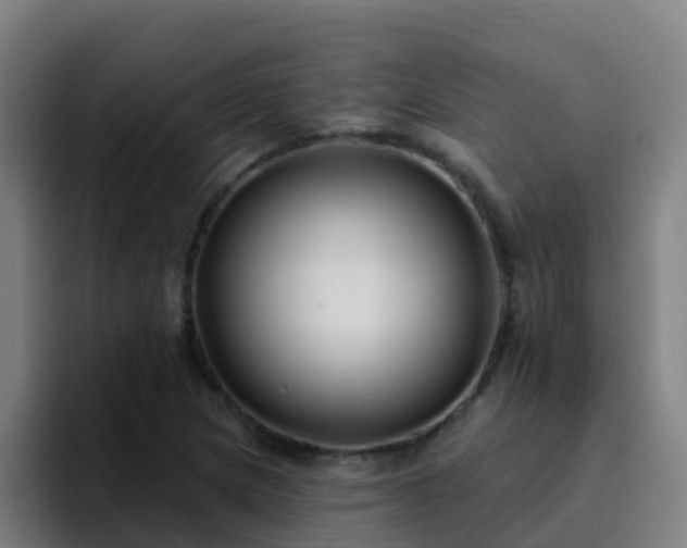 X0000094921217200712061102