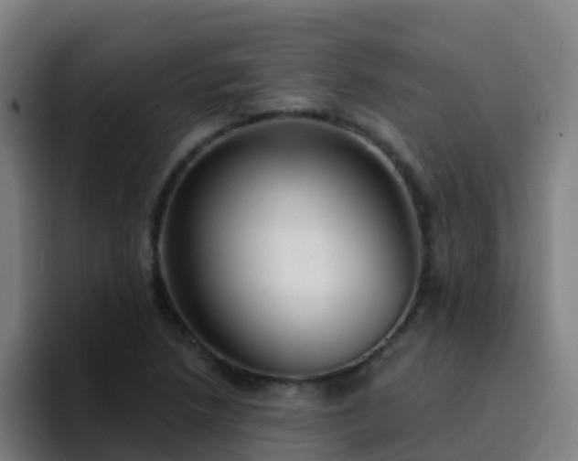 X0000094921218200712061102