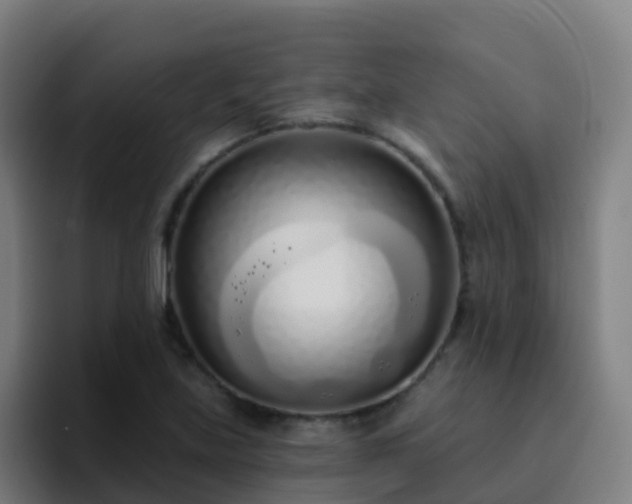 X0000094921219200712061102