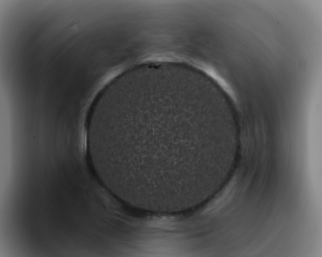 X0000094921221200712061102