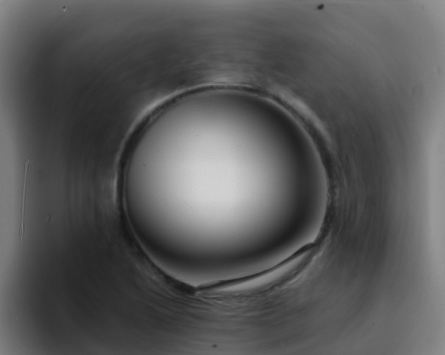 X0000094921222200712061102