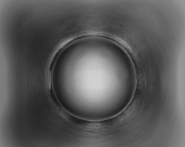 X0000094921223200712061102