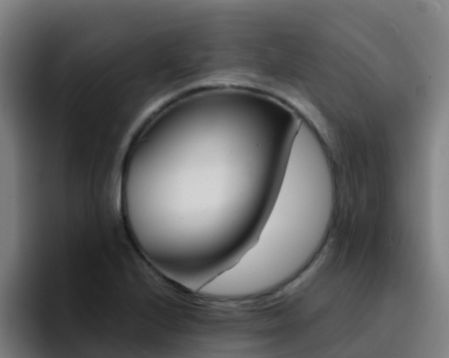 X0000094921224200712061102