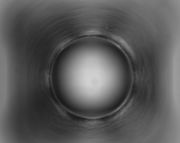 X0000094921225200712061102