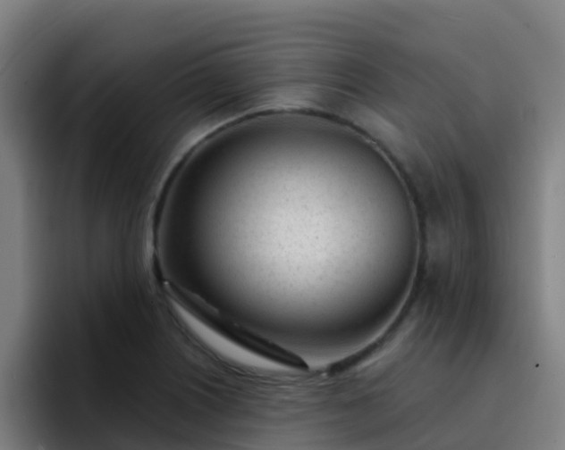 X0000094921226200712061102