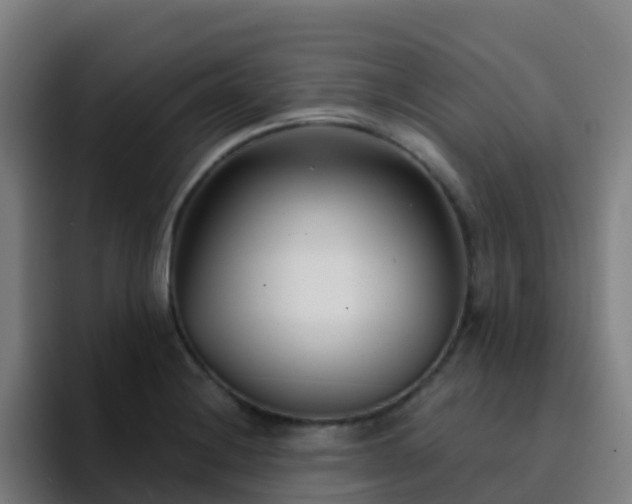 X0000094921228200712061102