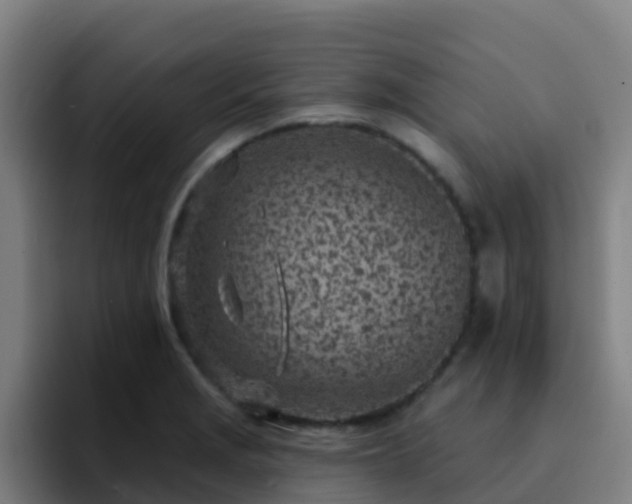 X0000094921229200712061102