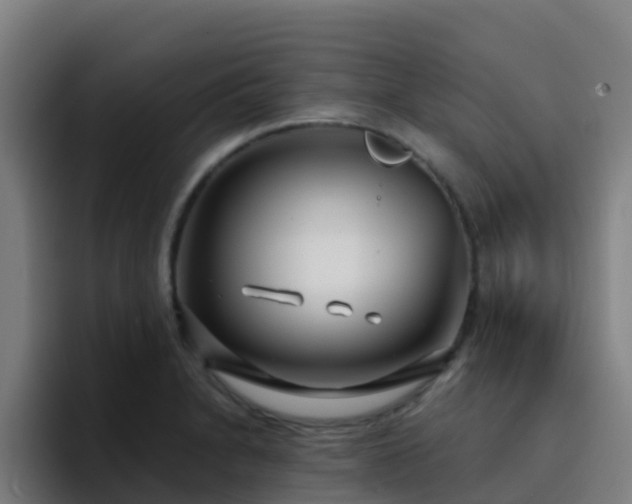 X0000094921230200712061102