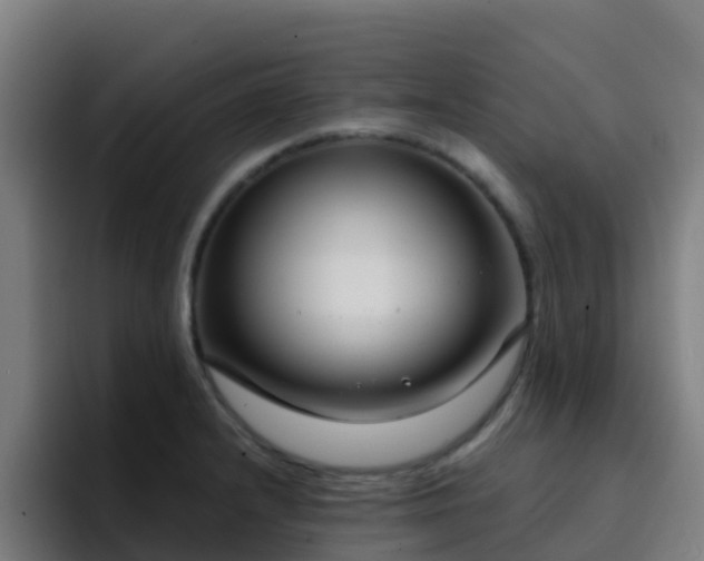 X0000094921232200712061102