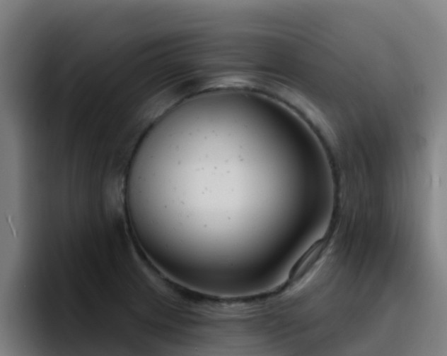 X0000094921233200712061102