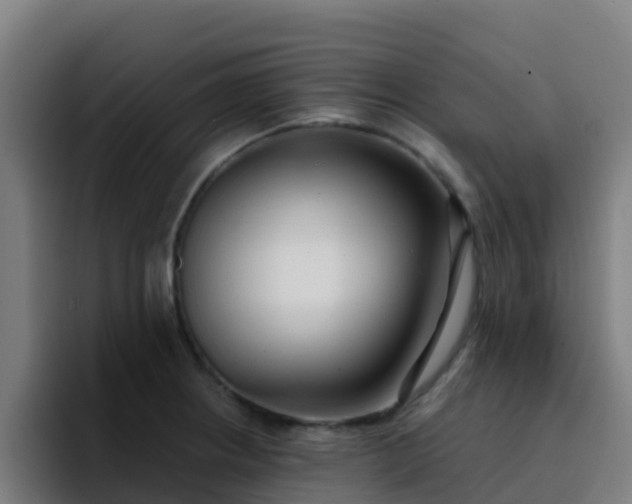 X0000094921234200712061102