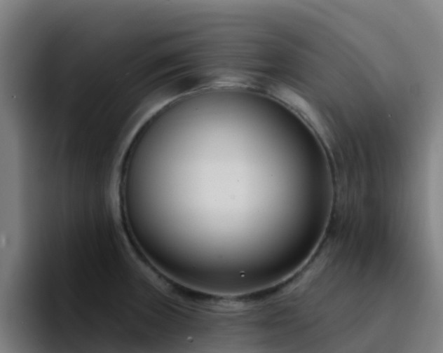 X0000094921235200712061102