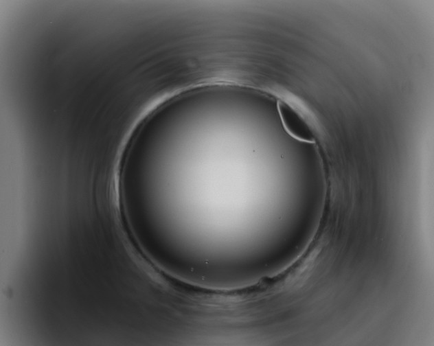 X0000094921238200712061102