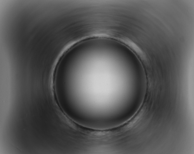 X0000094921240200712061102