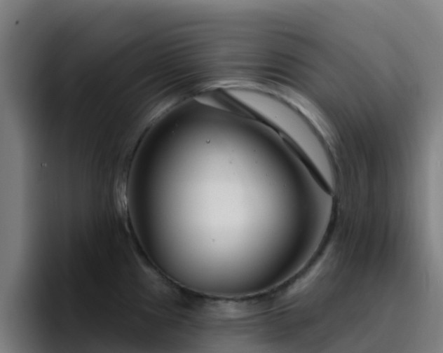 X0000094921241200712061102