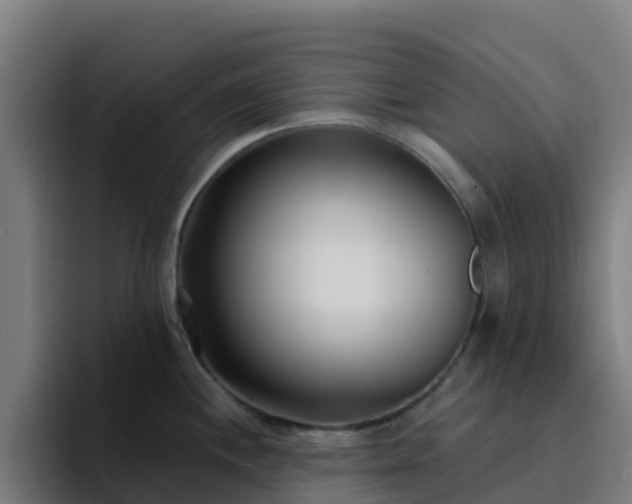 X0000094921244200712061102