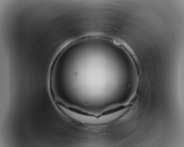 X0000094921245200712061102