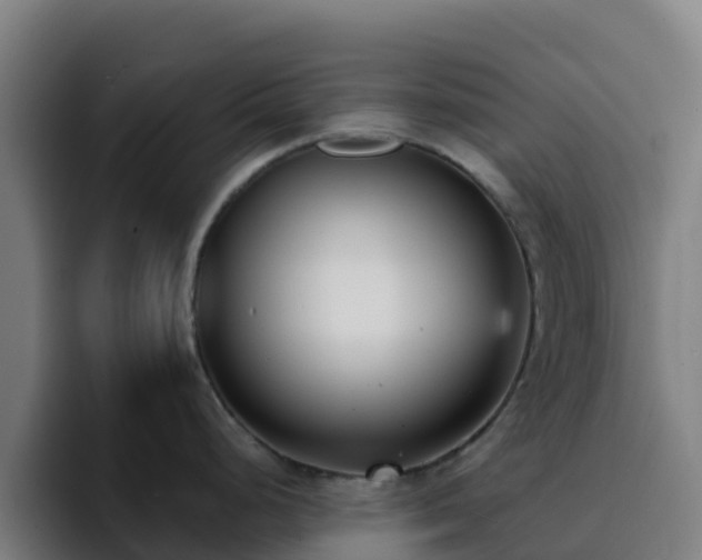 X0000094921248200712061102