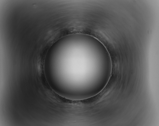 X0000094921250200712061102