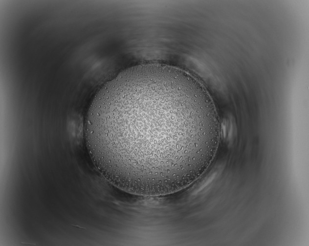 X0000094921251200712061102