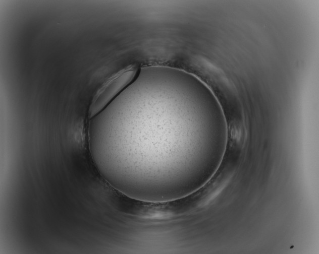 X0000094921252200712061102